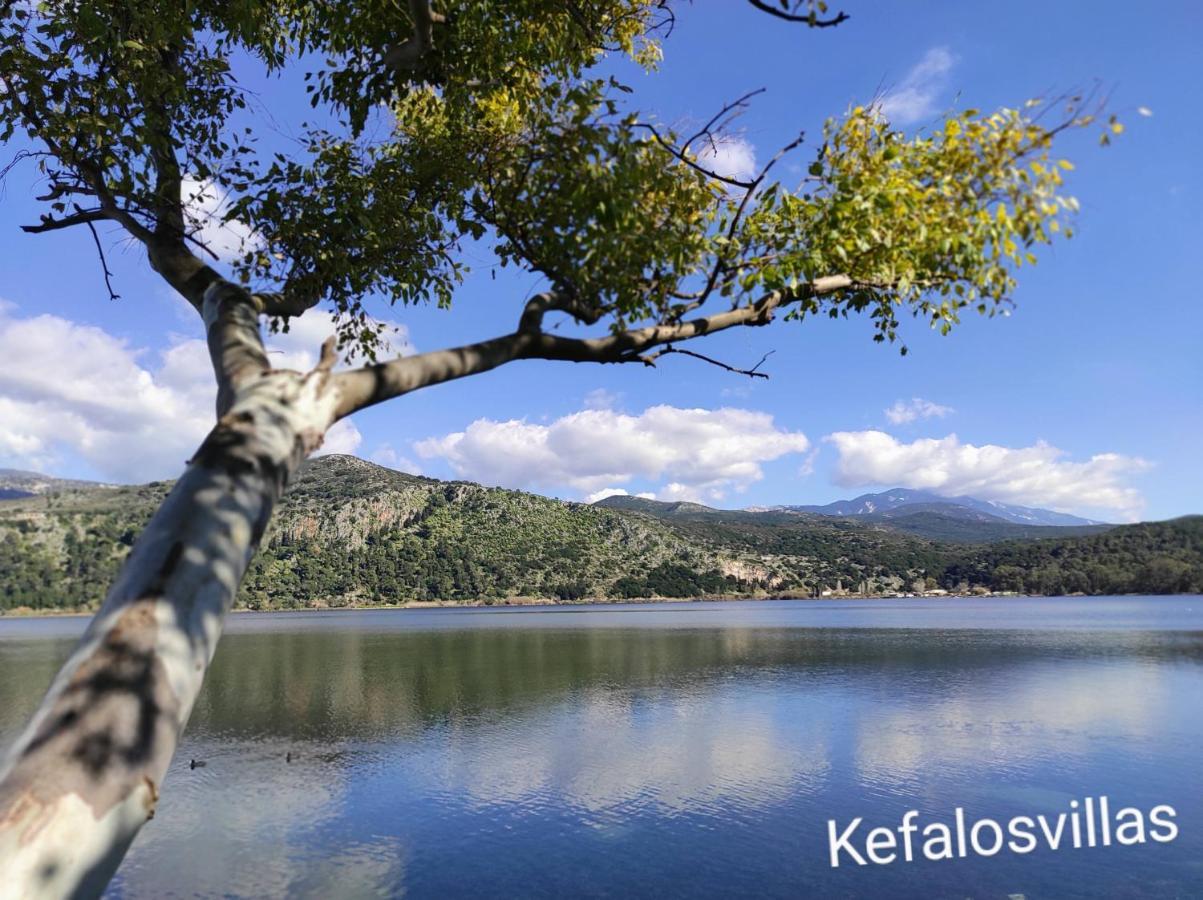 Kefalos Studios Argostoli Kültér fotó